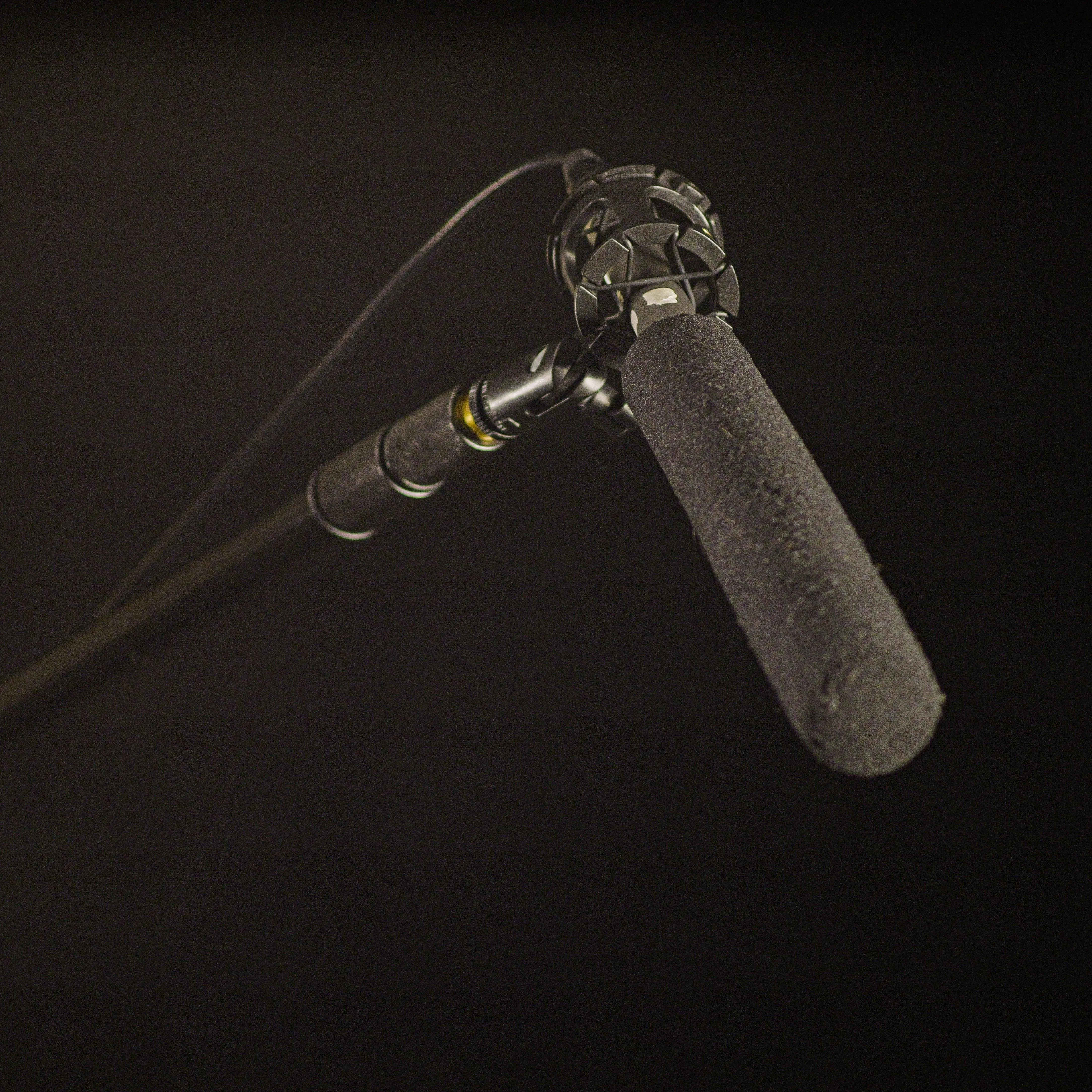 Neumann Condenser Shotgun Microphone (KMR 82i)