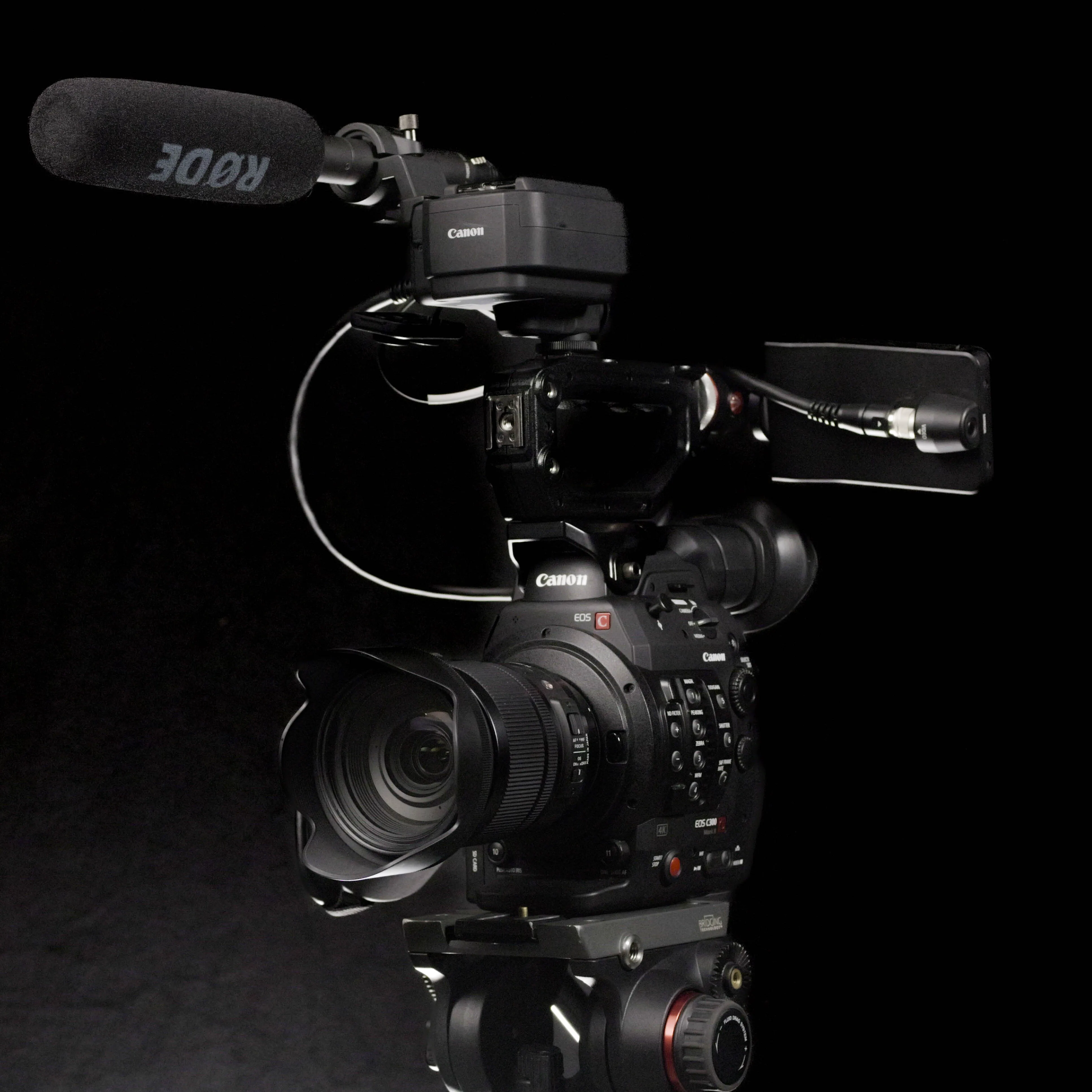 Canon EOS C300 Mark I