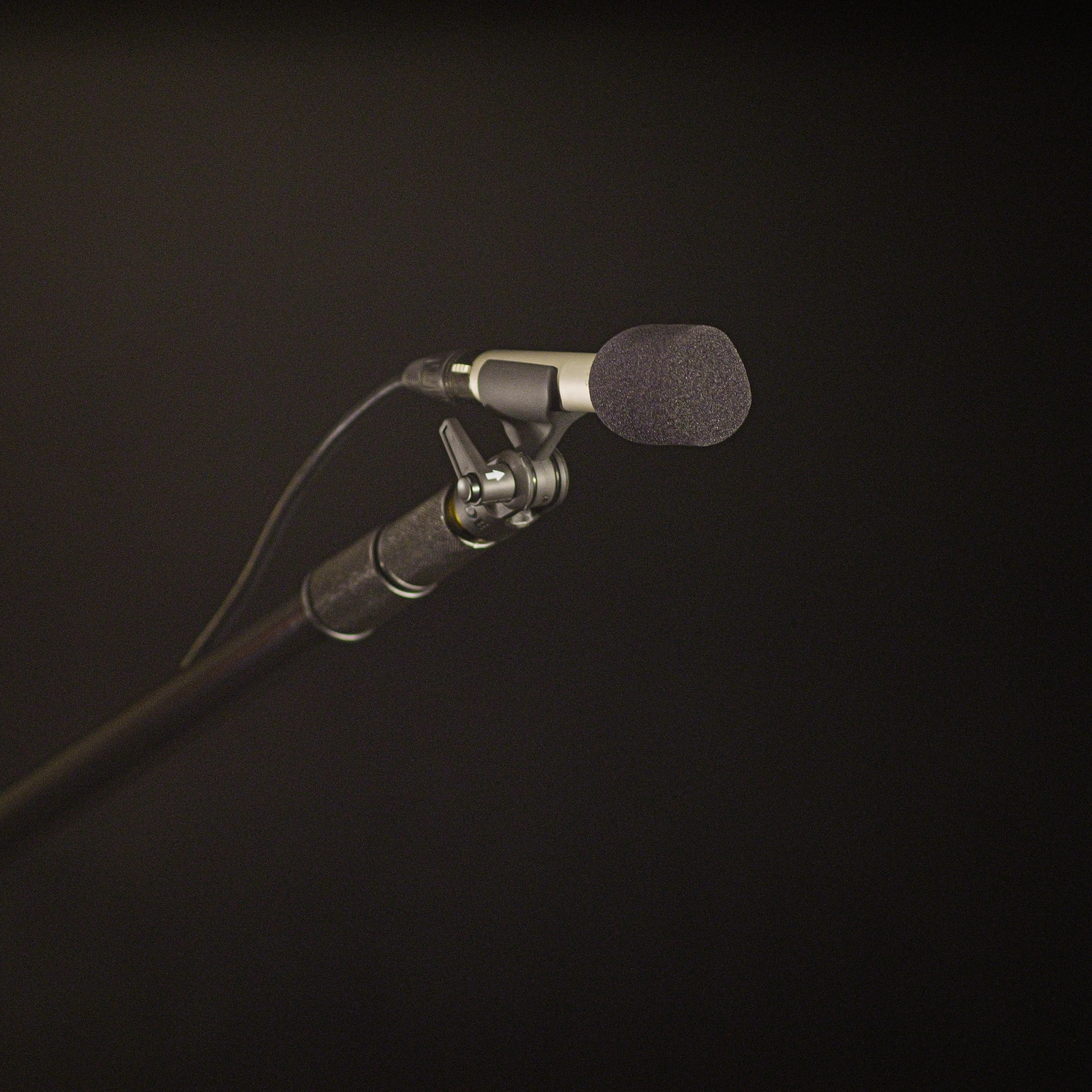 RODE Cardioid Studio Condenser Microphone (NT5)
