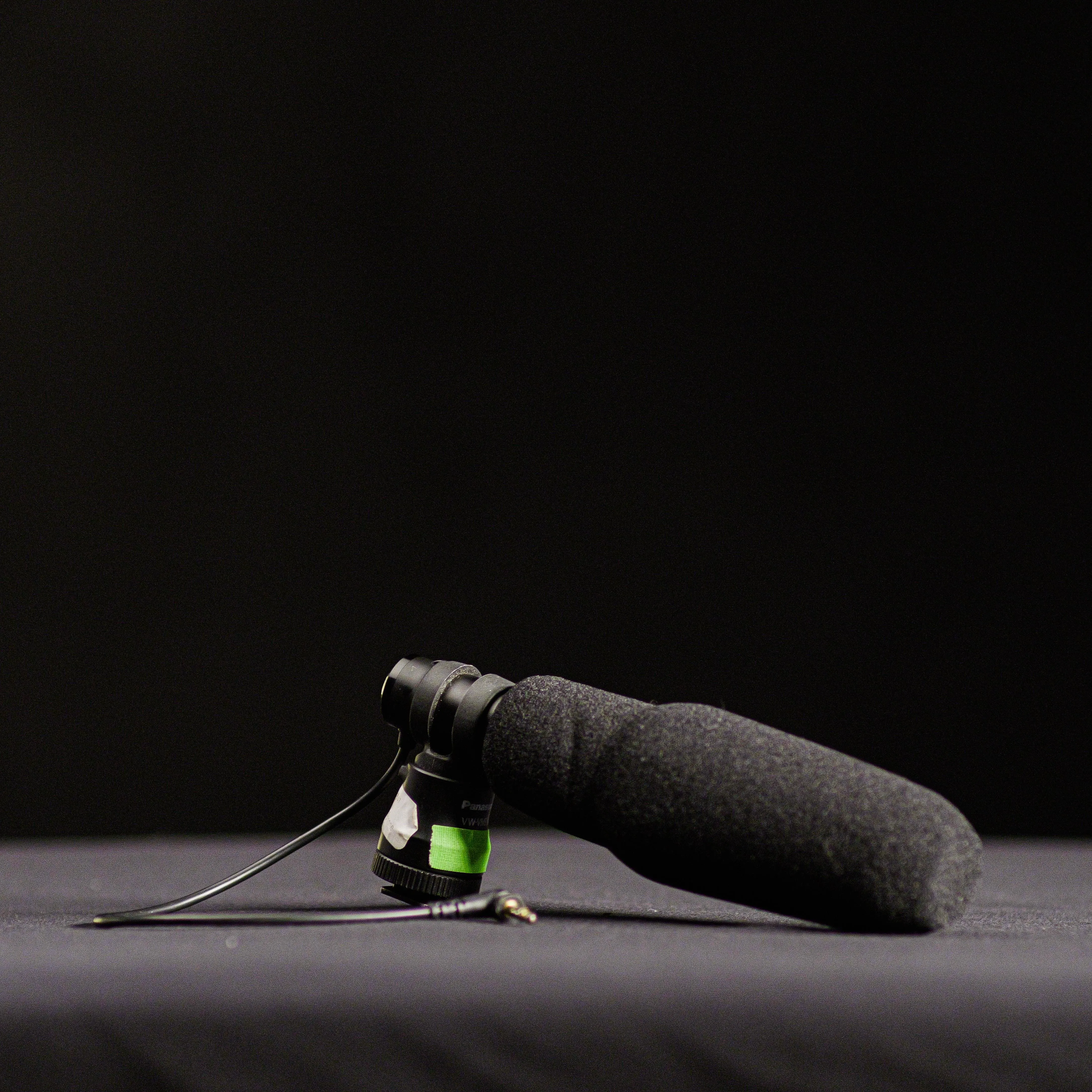 Panasonic Stereo Microphone (VW-VMS10A)