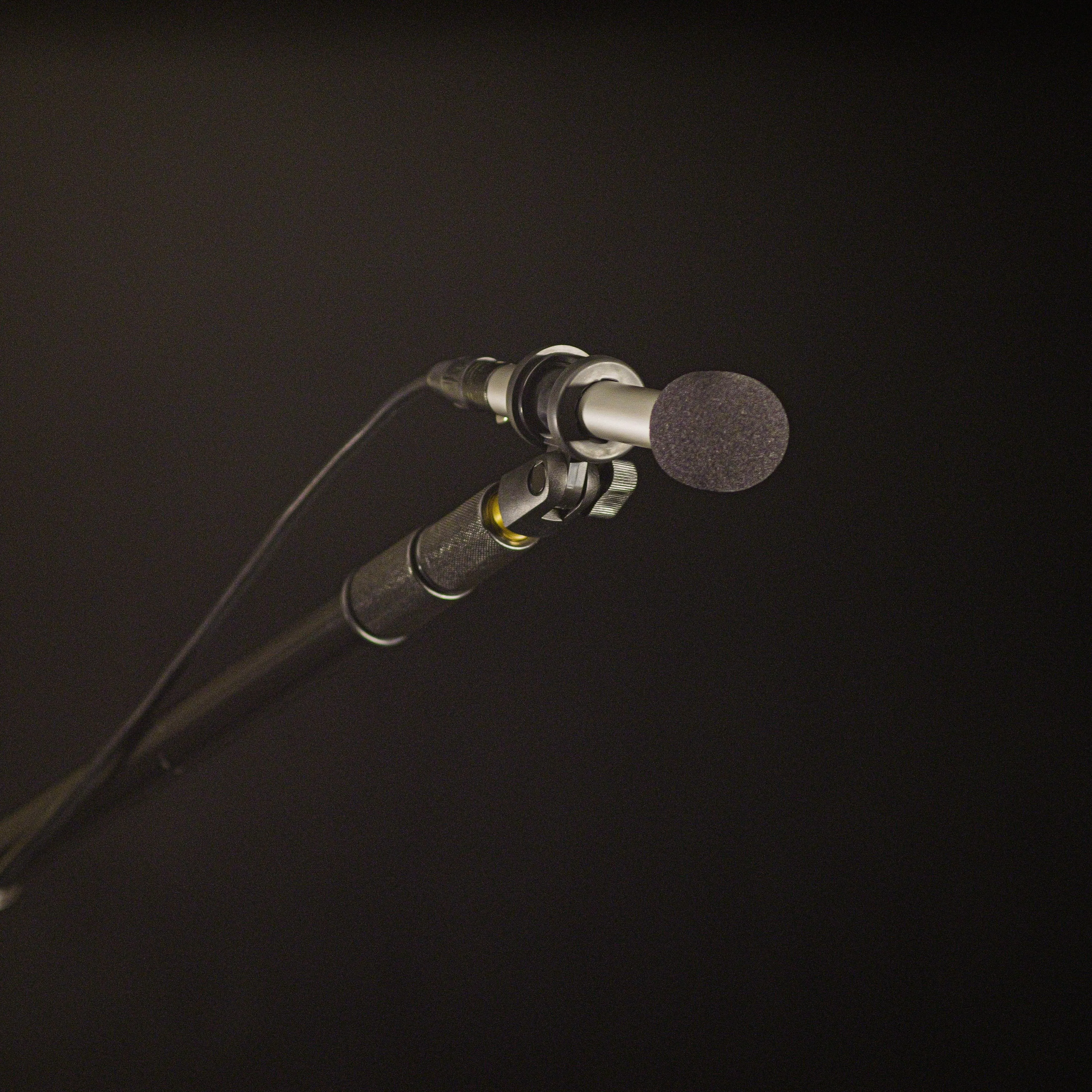 Samson Pencil-Style Instrument Microphone (C02)