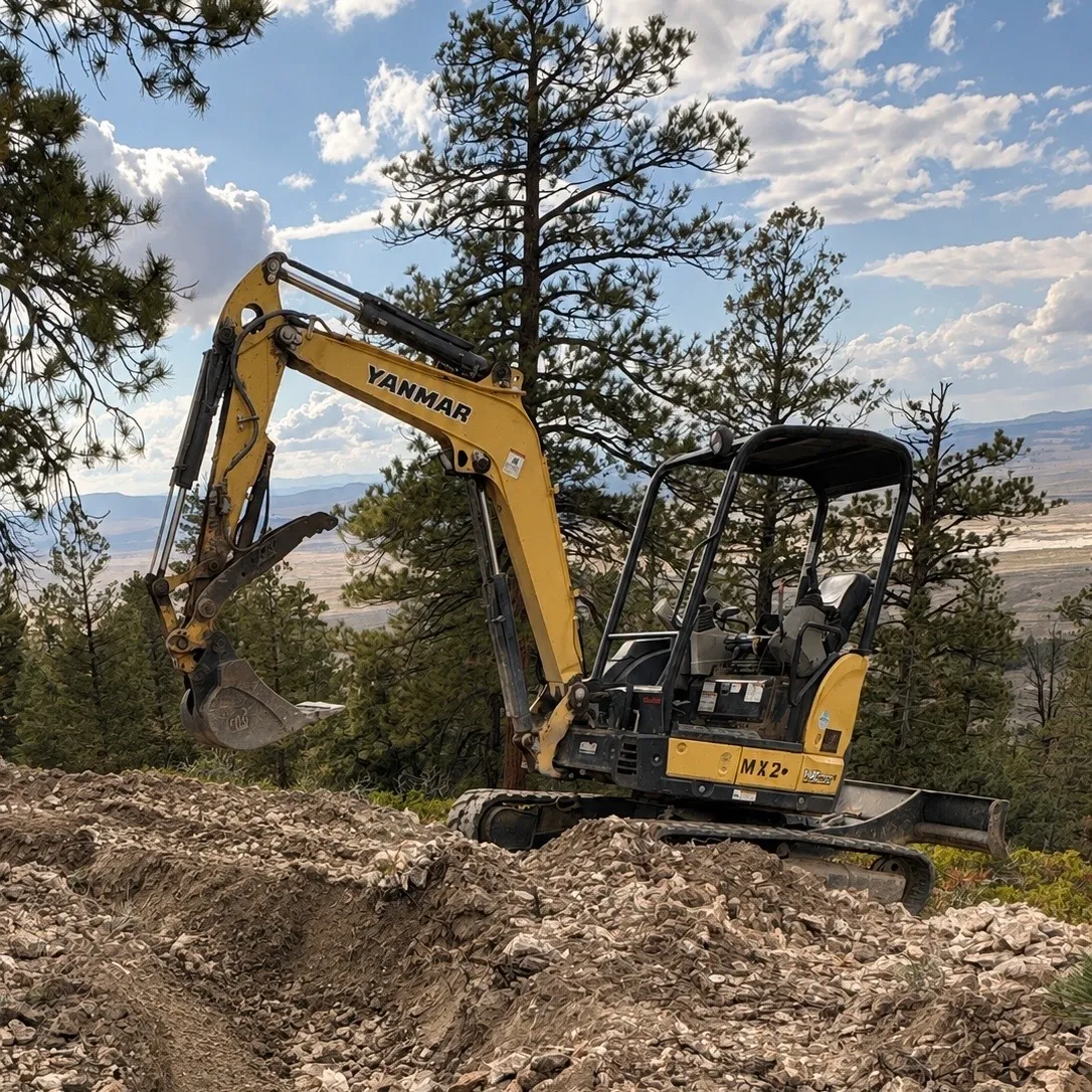 Yanmar Mini X 01