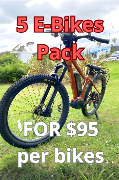 Family booking / group booking