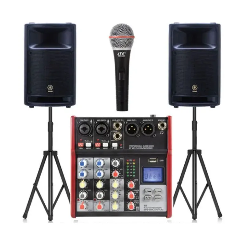 800w Bluetooth PA System