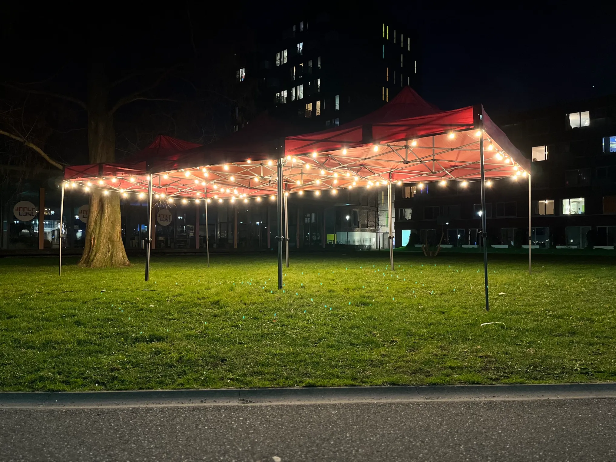 Overkapping Bordeaux Triple met verlichting