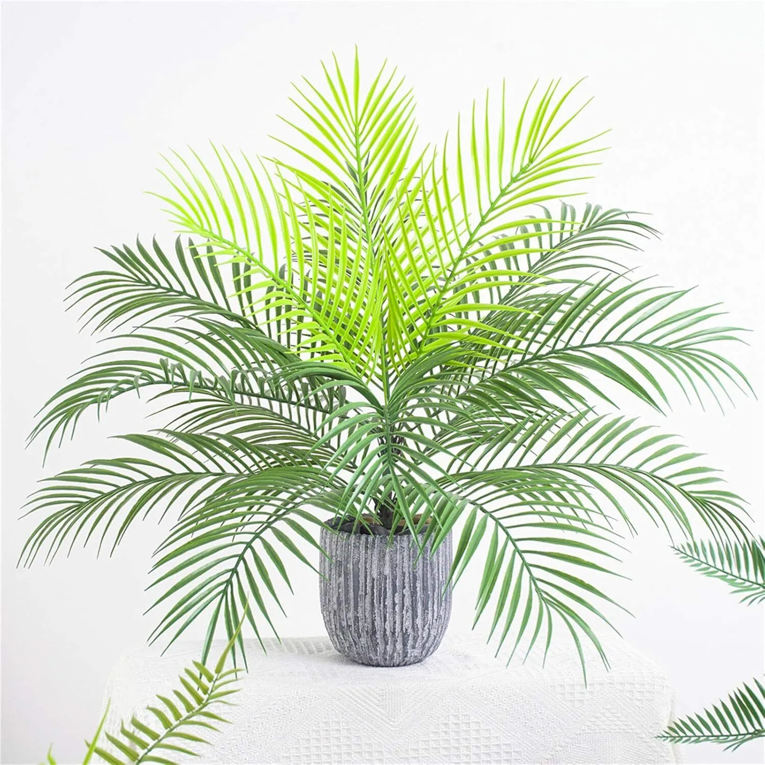 Palmtopje 63cm