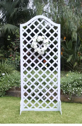 Trellis Wedding Frame