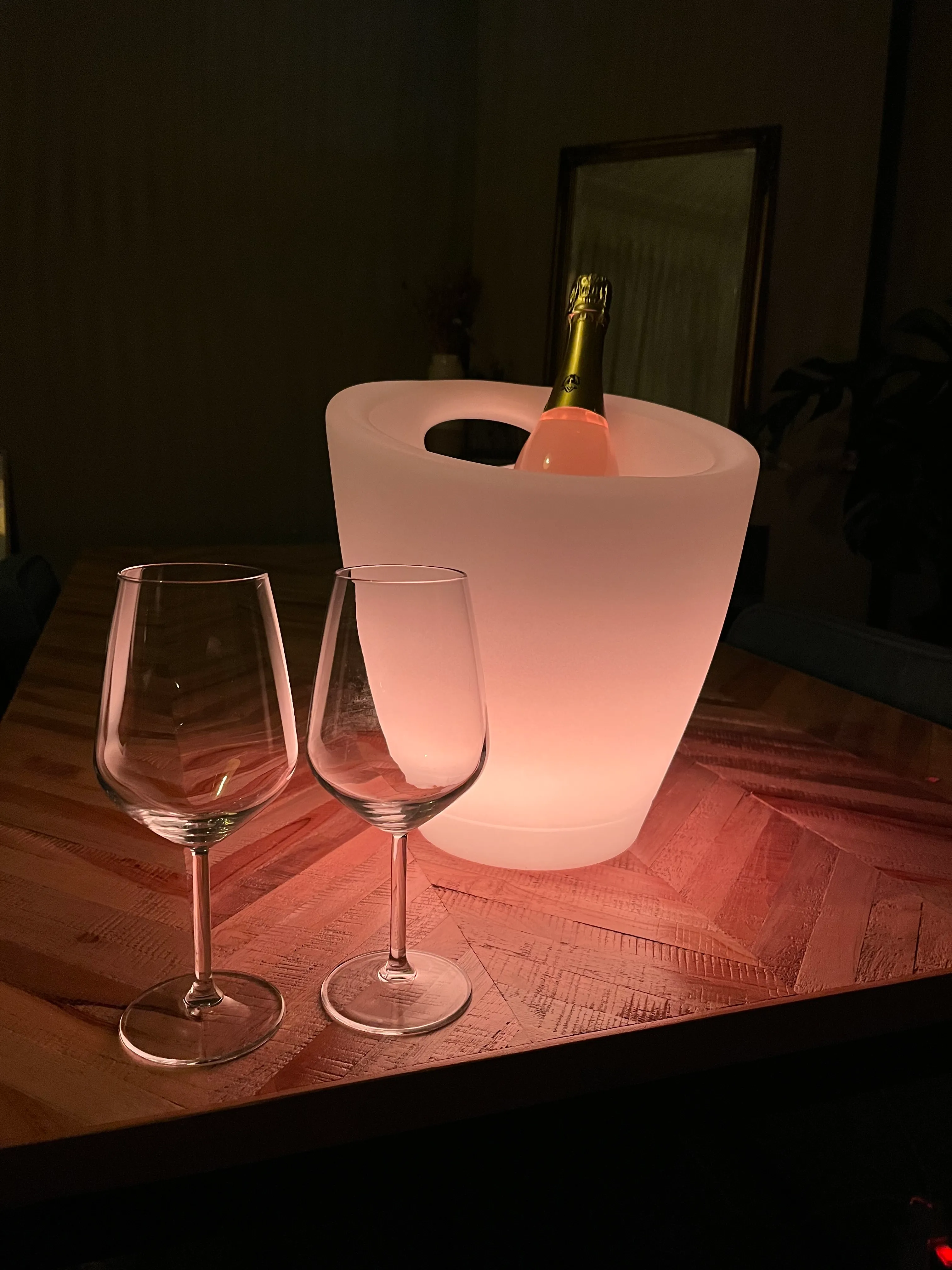 LED Wijnkoeler - Horeca