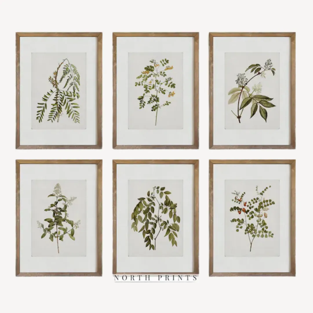 Wall Art Botanical 60x90