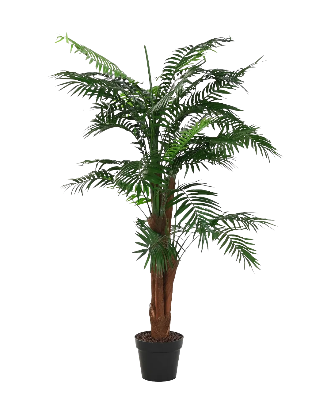 Ptuj Plant 80x80x165