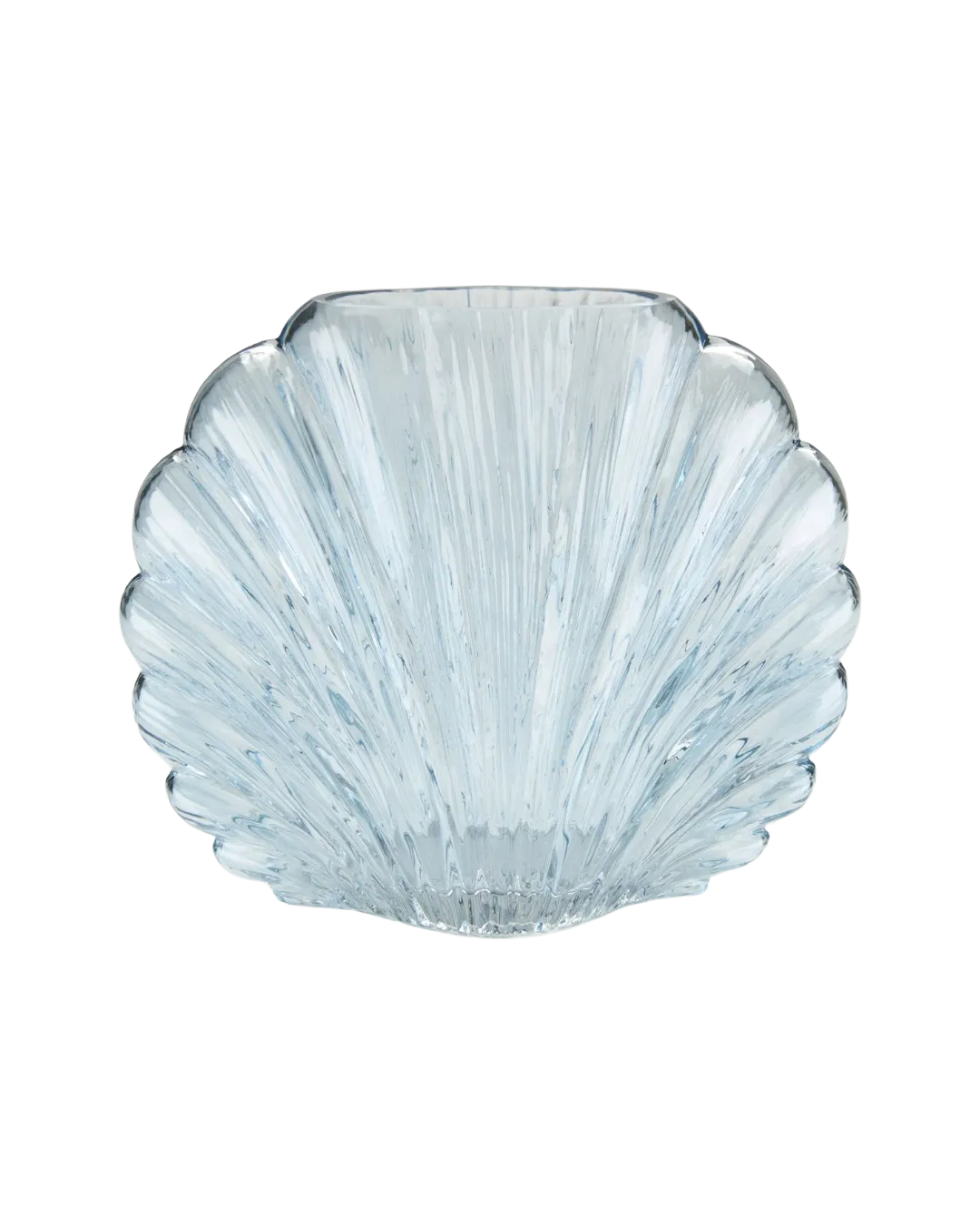 Shell Vase Bahamas, H17