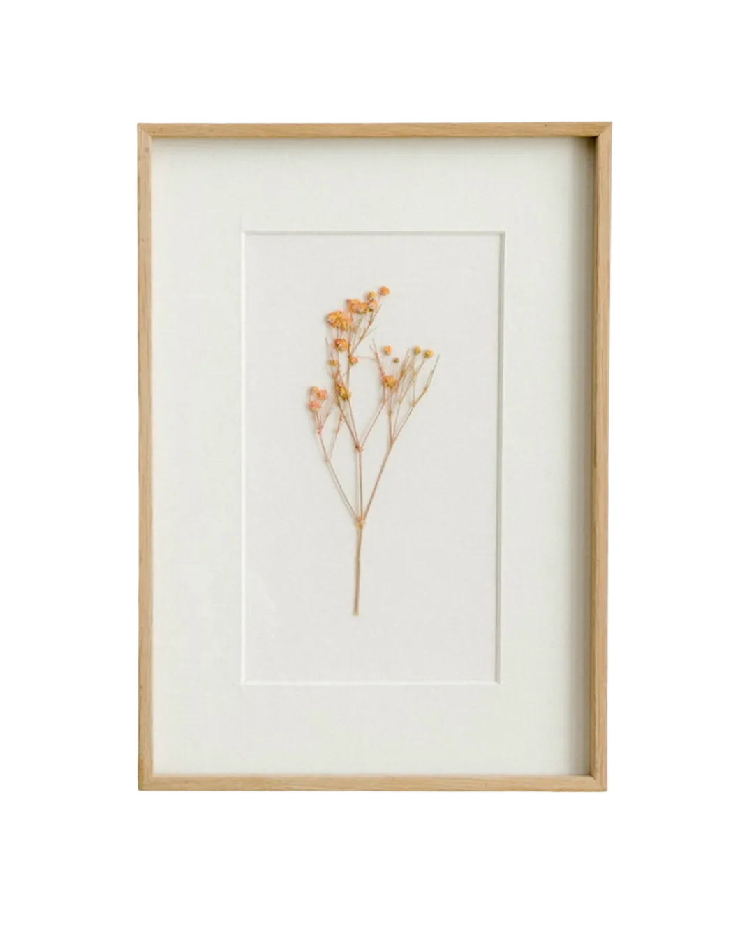 Wall Art Floral, 50x50cm