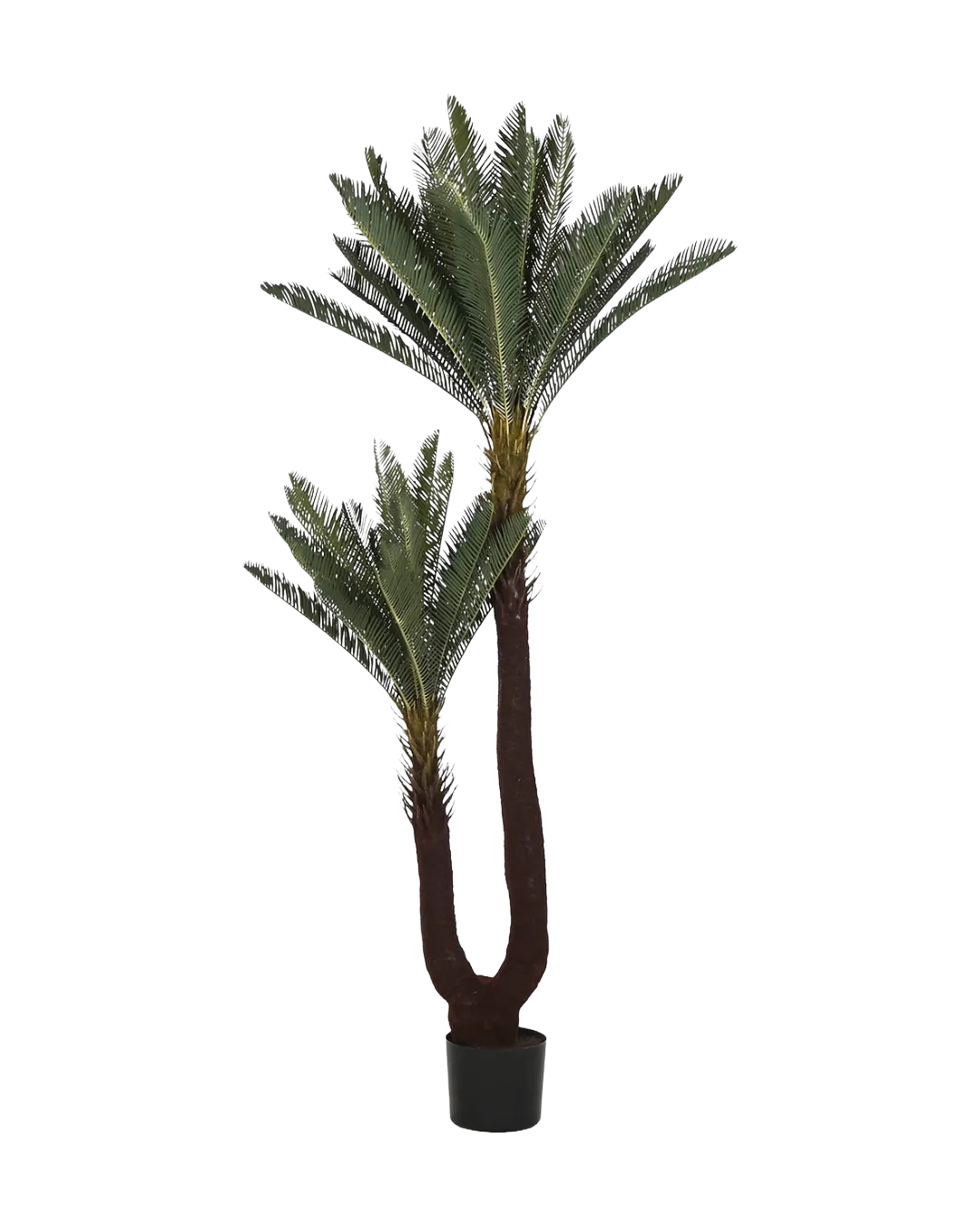 Plant Setubal 80x80x170