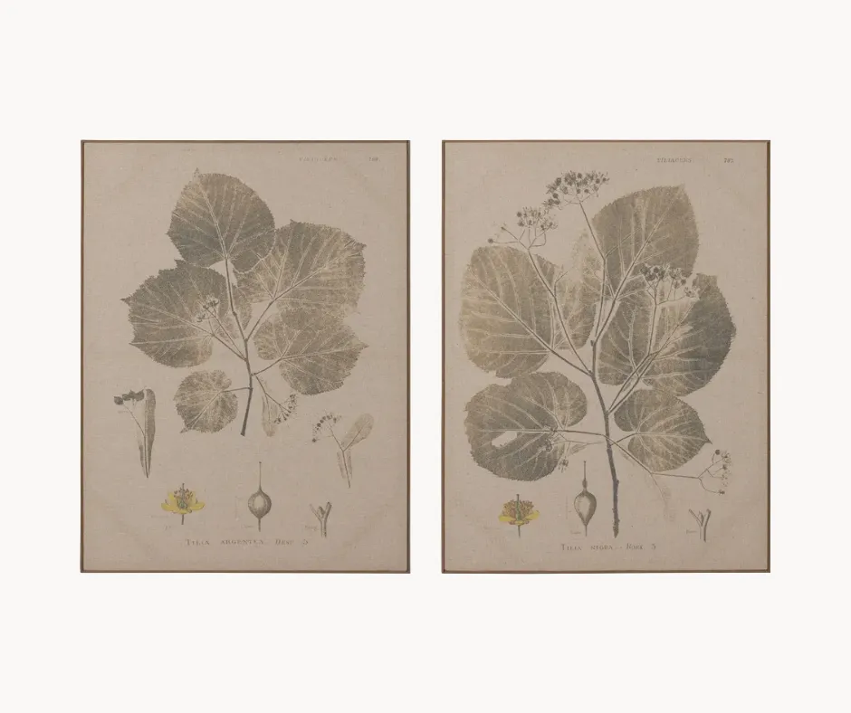Wall Art Reine, 60 X 3 X 80cm