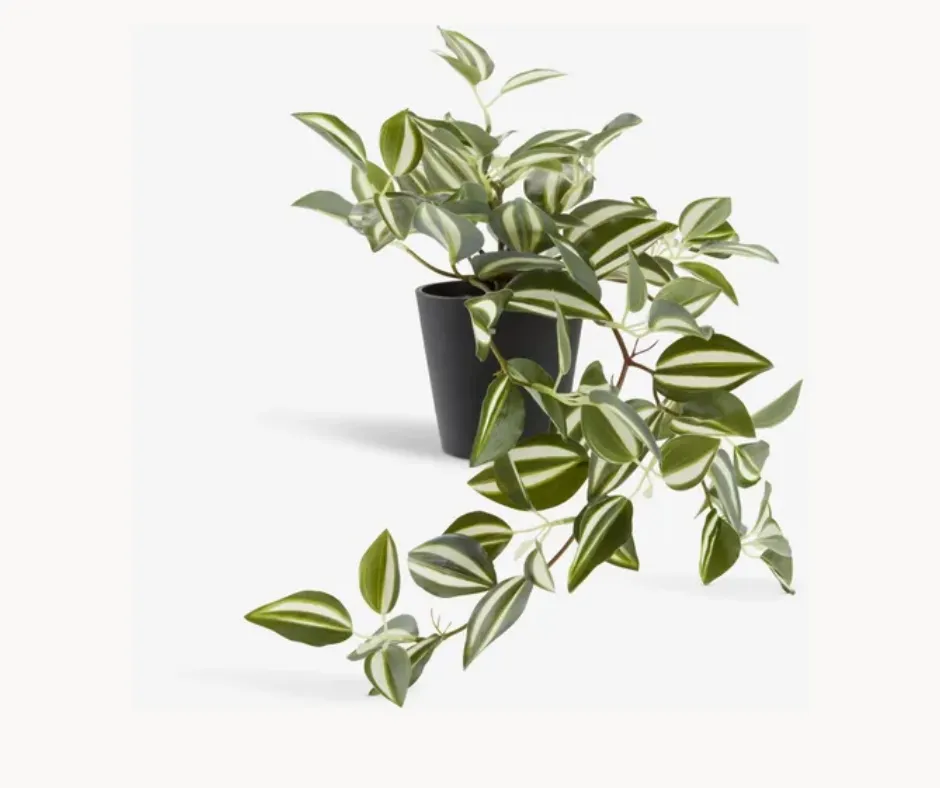 Artificial Hanging Plant Avignon