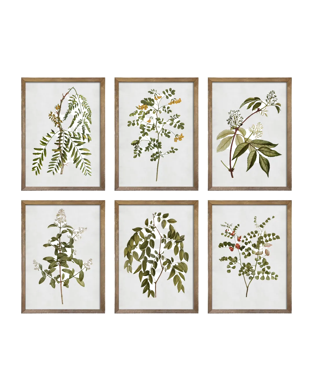 Wall Art Botanical 60x90
