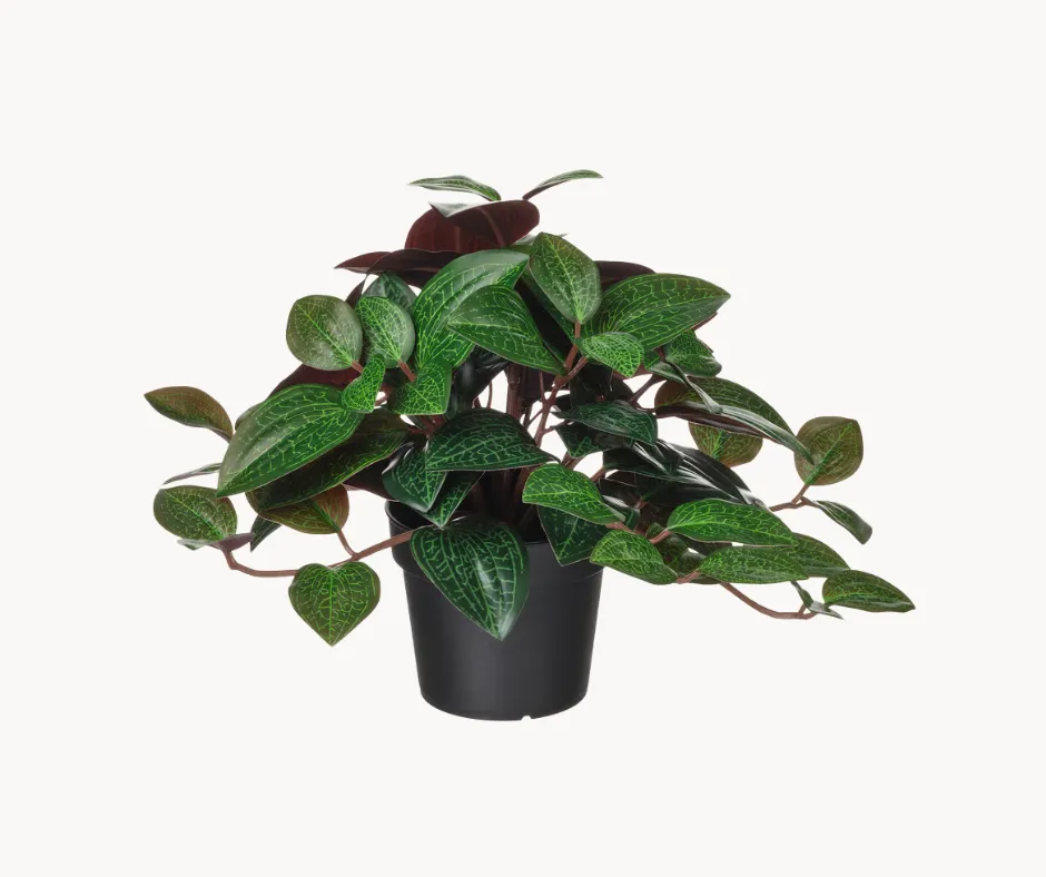 Český Artificial Plant Pot, 9 cm