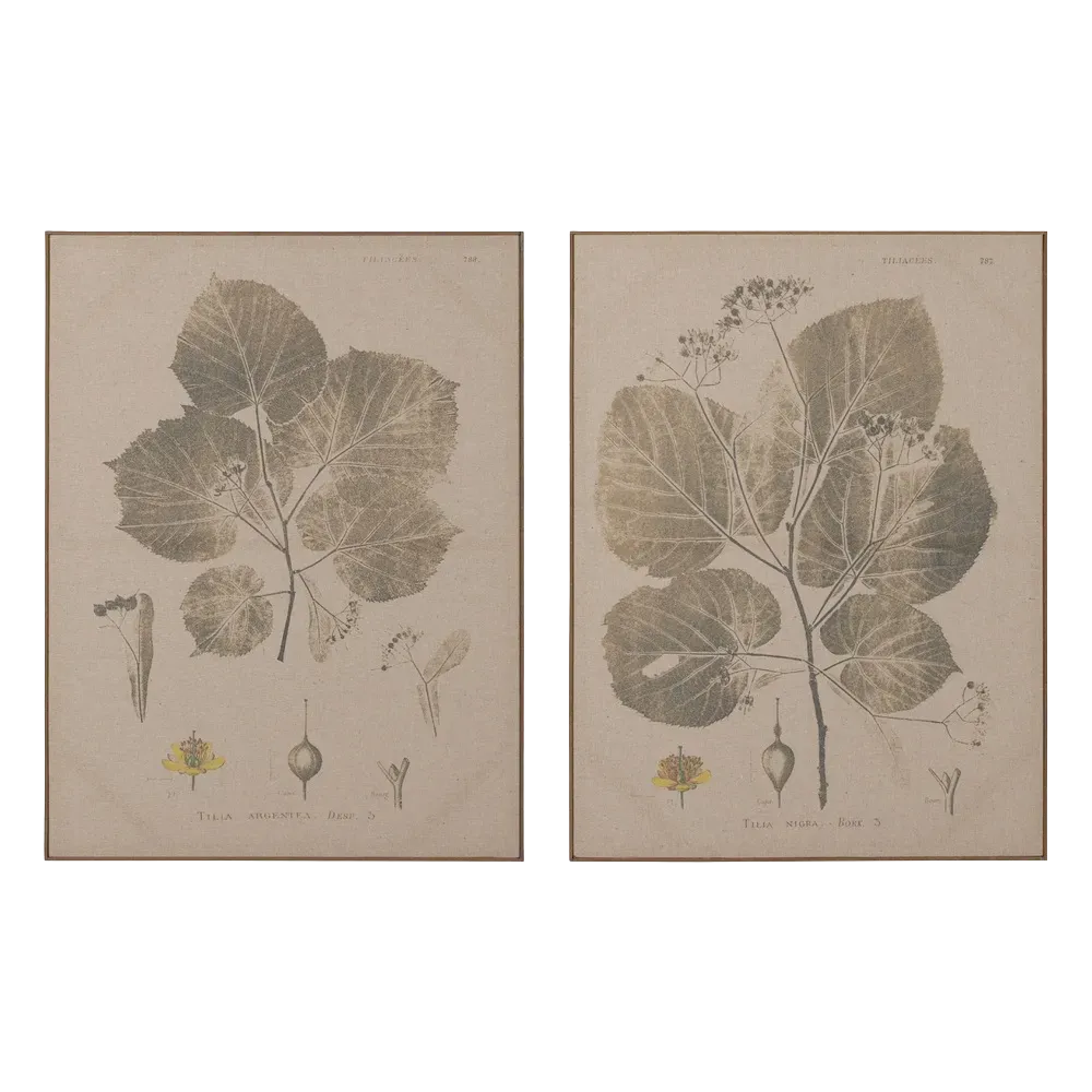Wall Art Reine, 60 X 3 X 80cm