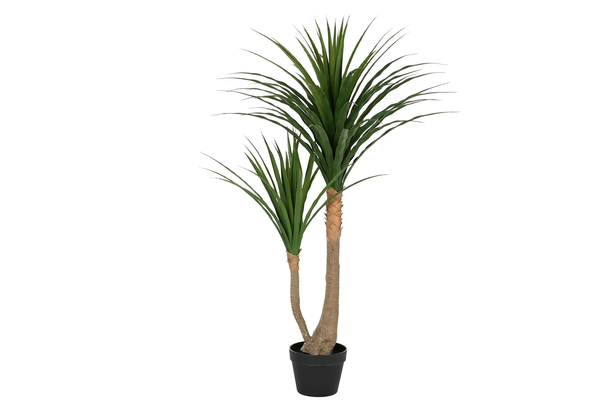 Uppsala Plant 80x80x120