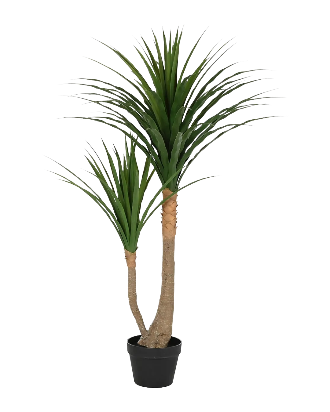 Uppsala Plant 80x80x120