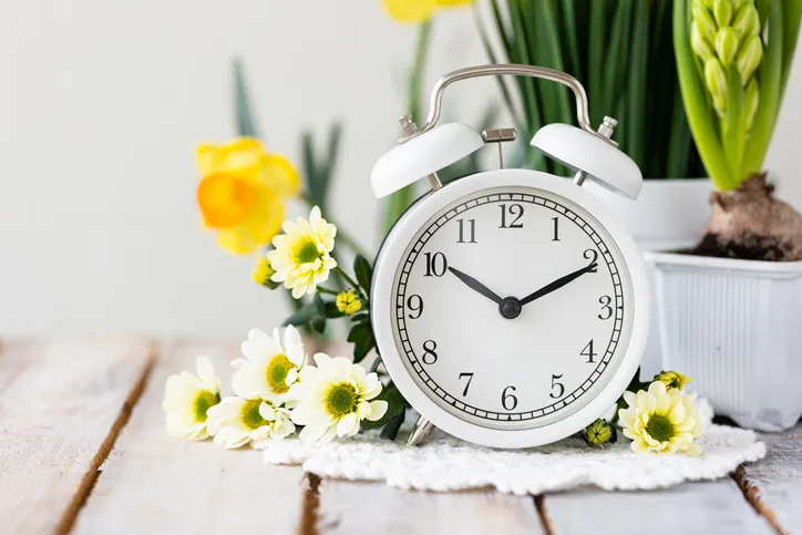 Spring Time collection image