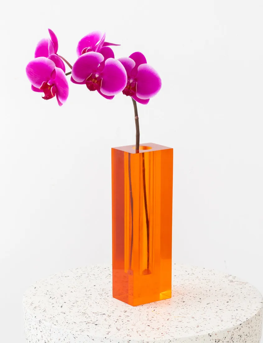 NEW IN collection image