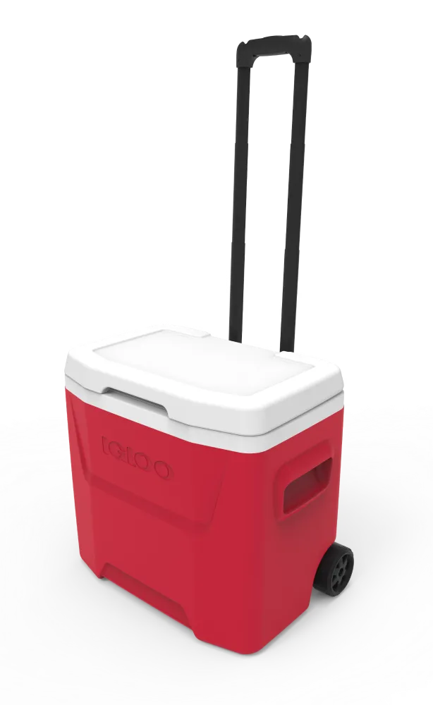 Igloo 28Qt Cooler