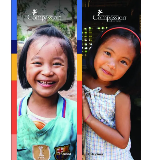 Narrow - Asian Girl - Double Sided, Pillowcase 3'x8'