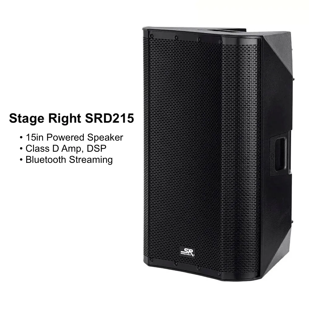 Stage Right 15" PA Speaker
