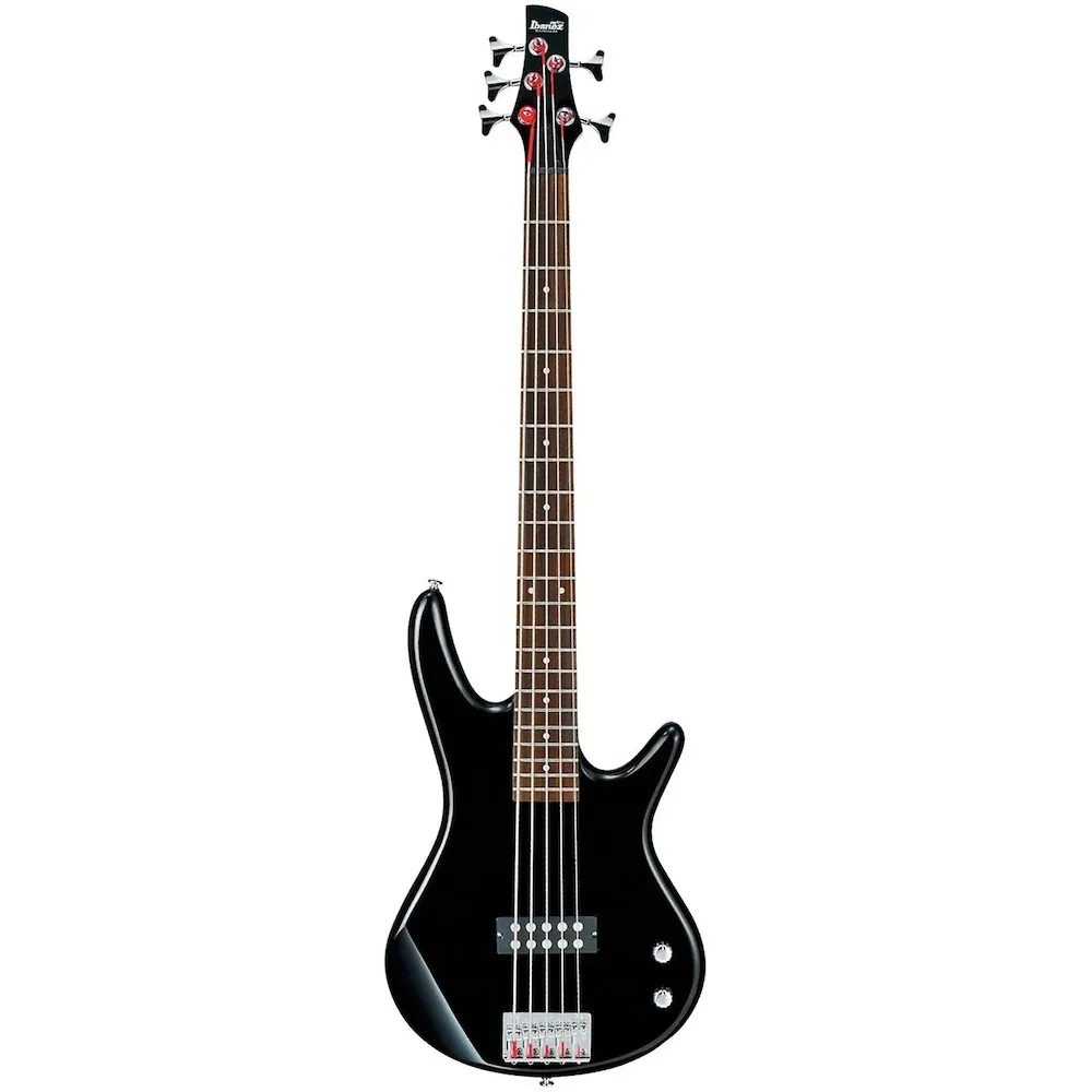 Ibanez 5 String Bass