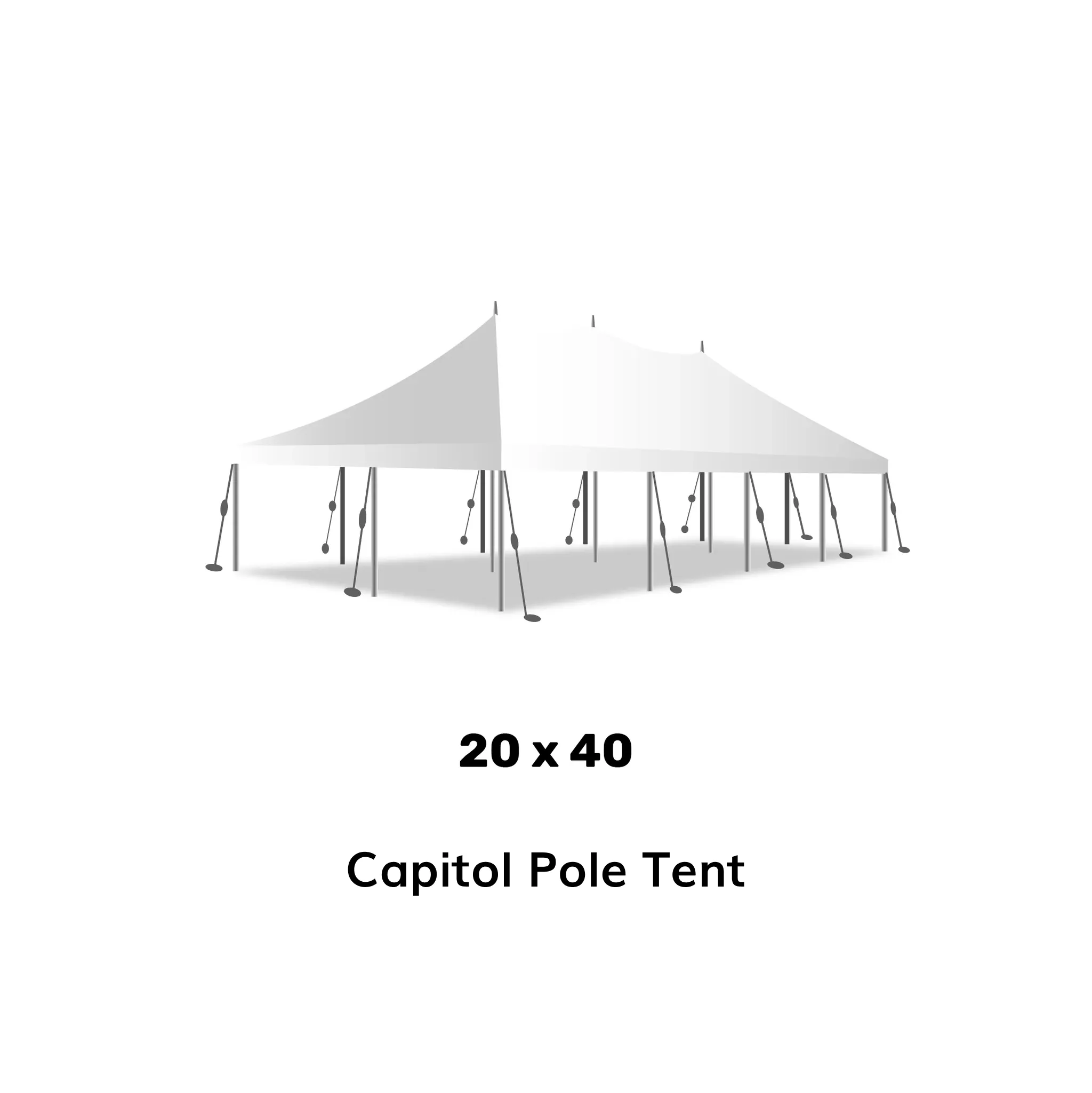 20x40 Tent