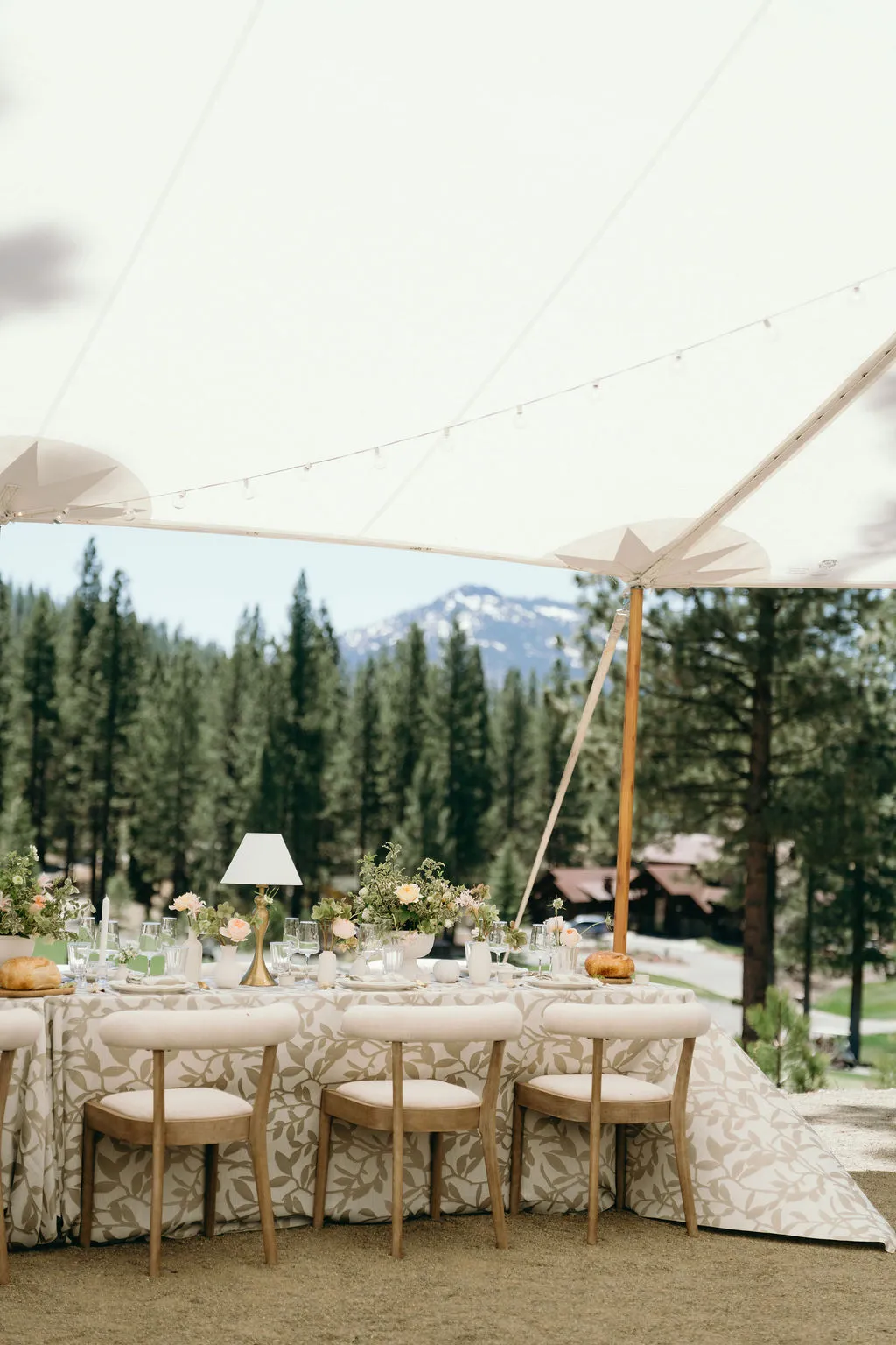 Modern Walnut Chairs 