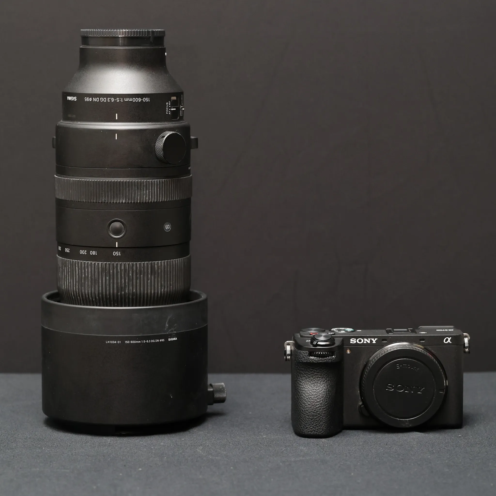 Sony Surf and Wildlife Kit