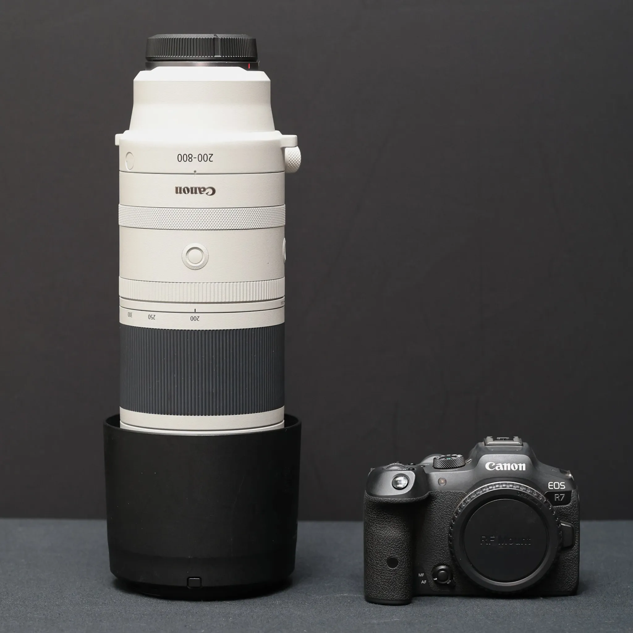 Canon Surf and Wildlife Kit