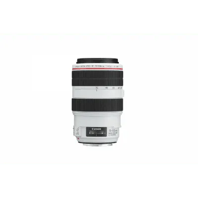Canon EF 70-300mm f/4-5.6L IS USM Lens