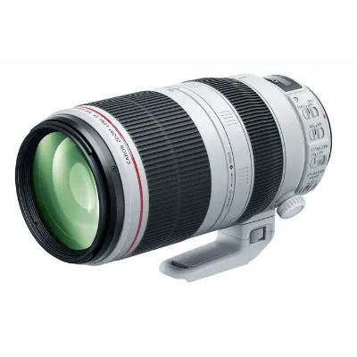 Canon EF 100-400mm f/4.5-5.6L IS II USM Lens