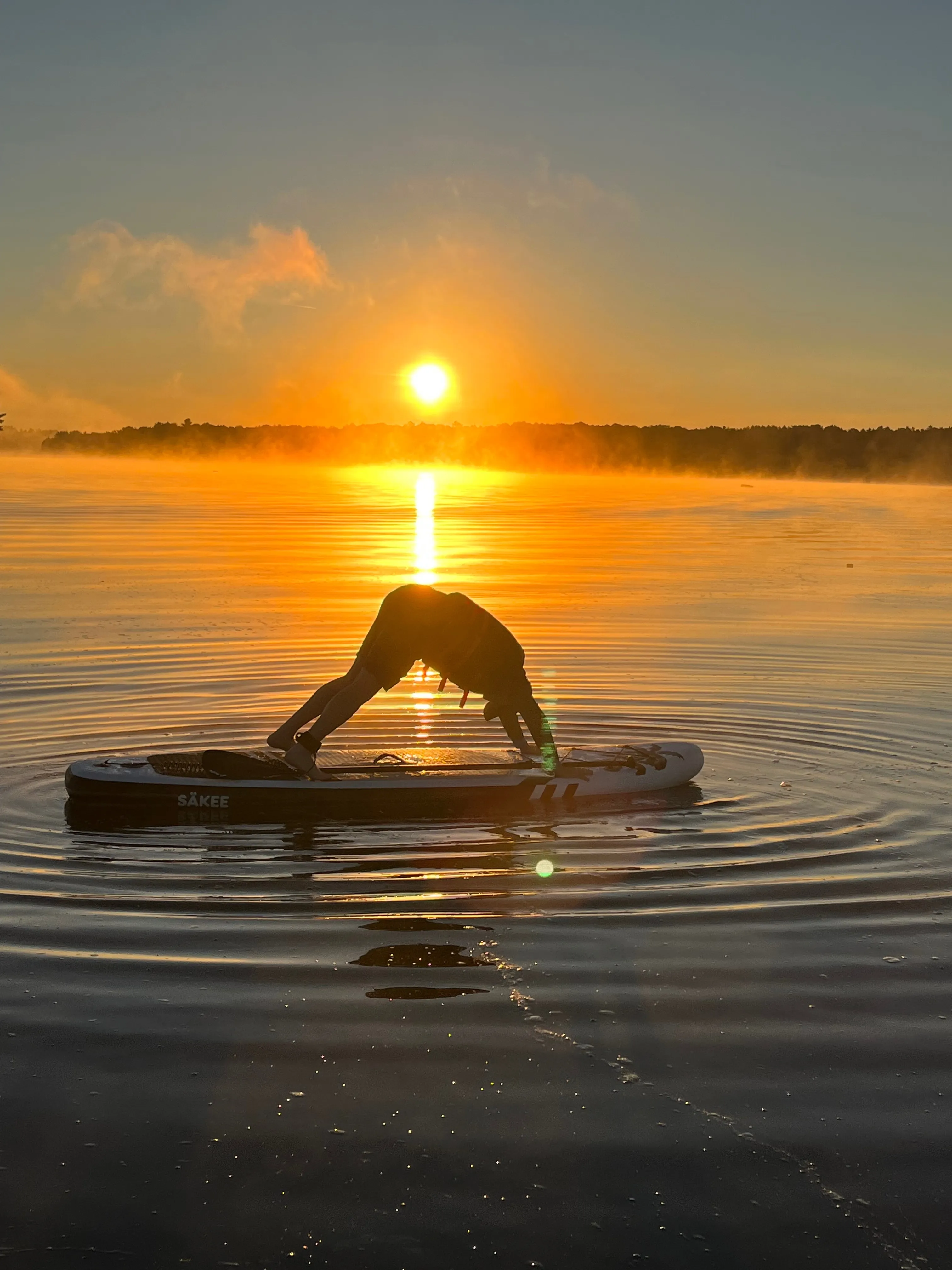 Paddleboards