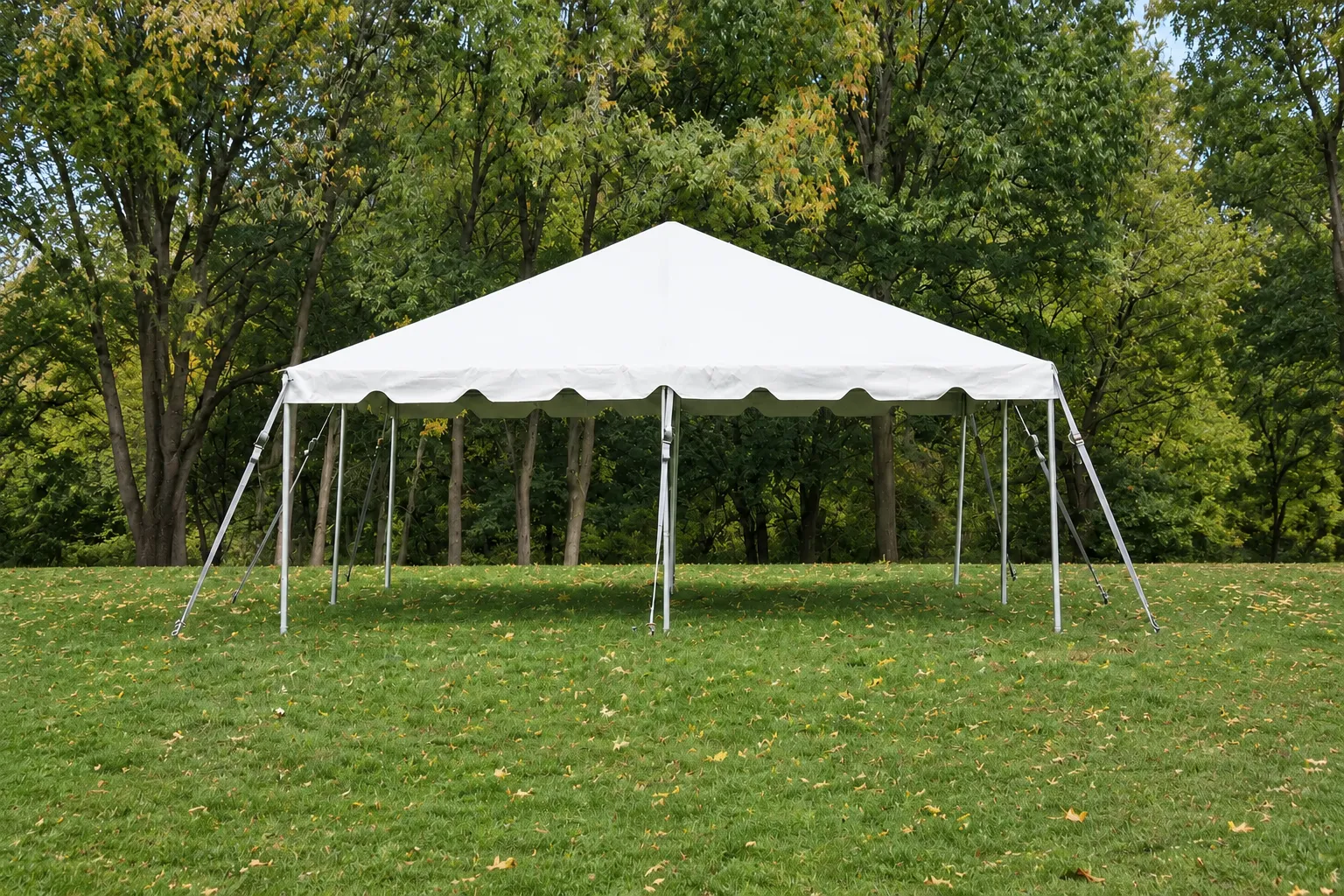 “White frame tent set up on a grassy lawn with trees in the background.”