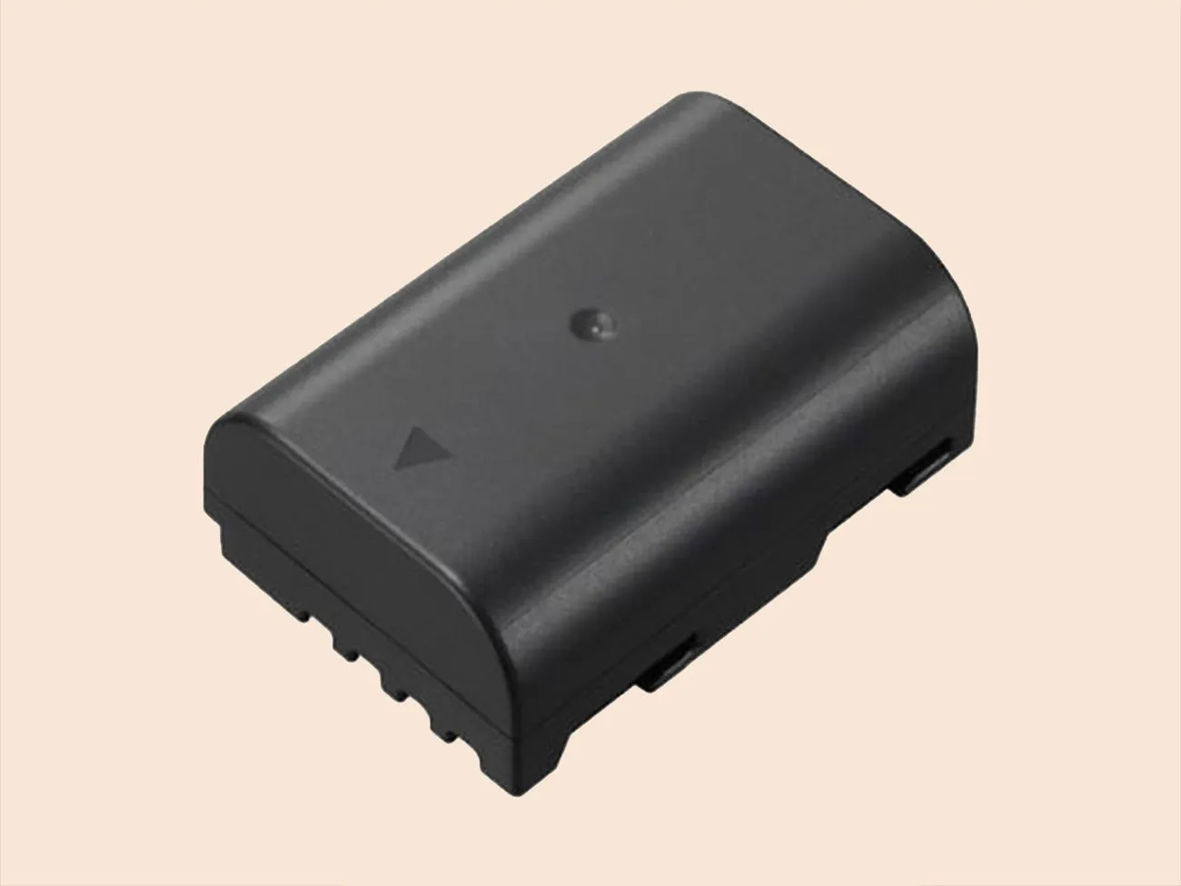 Panasonic DMW-BLF19E