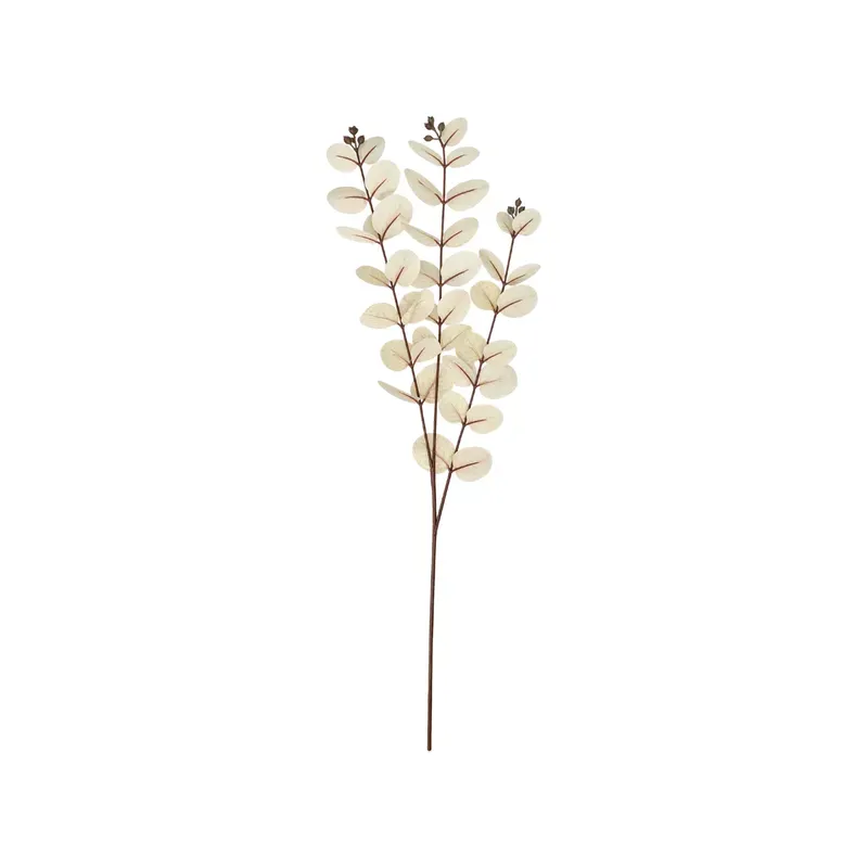 STEMS & BRANCHES