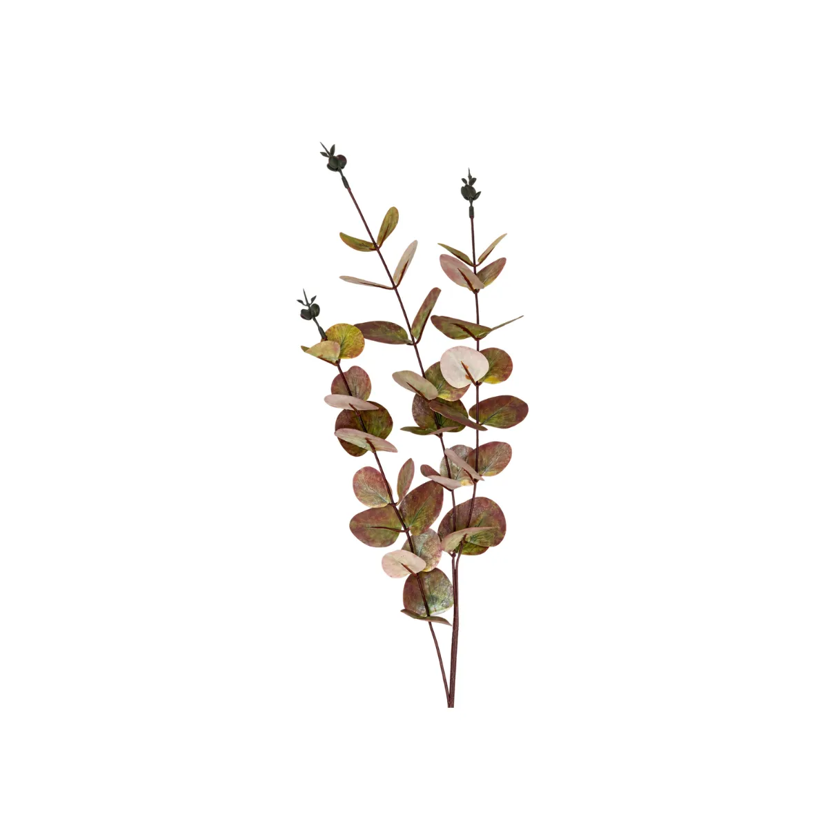 DUSTY ROSE EUCALYPTUS STEM