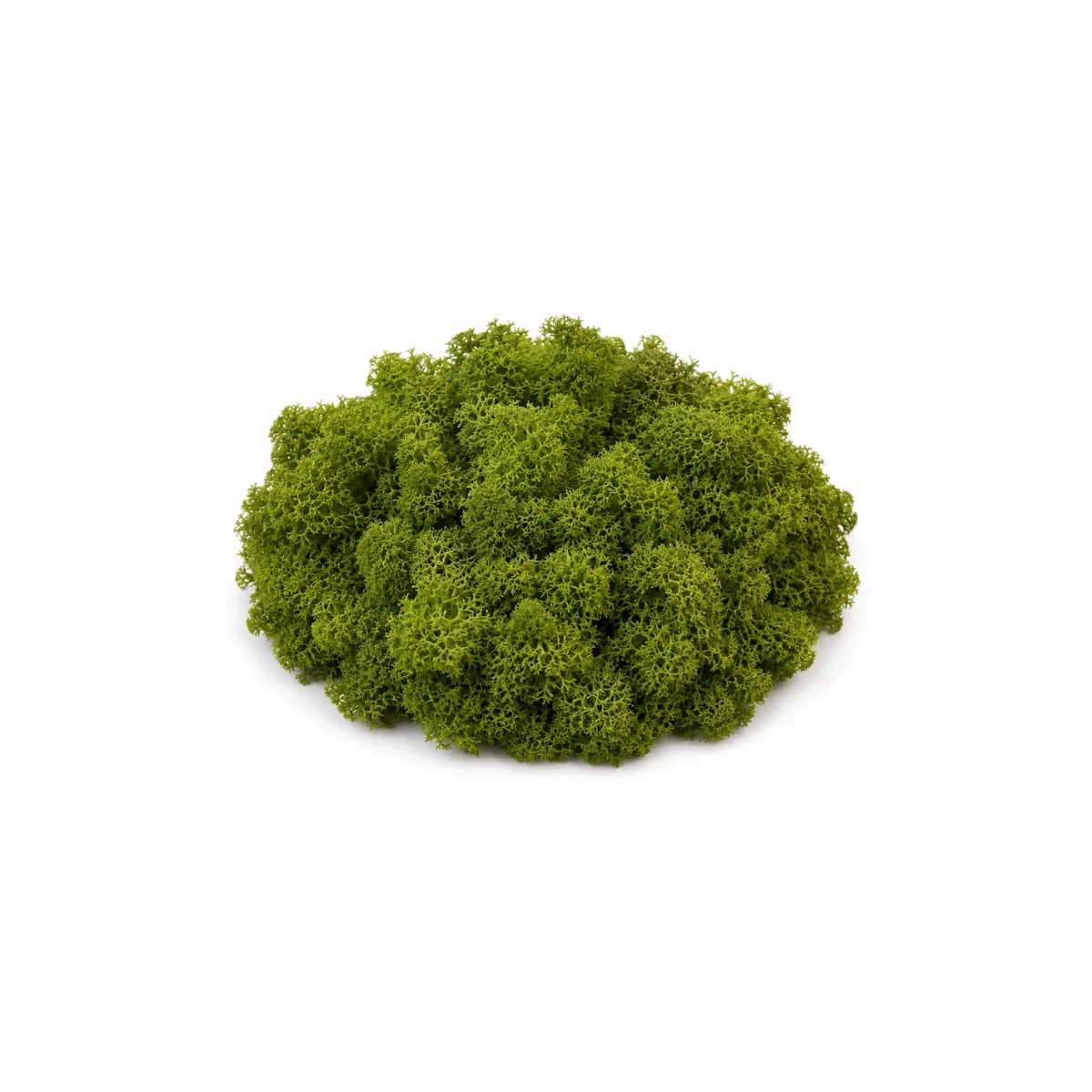 ARTIFICIAL MOSS