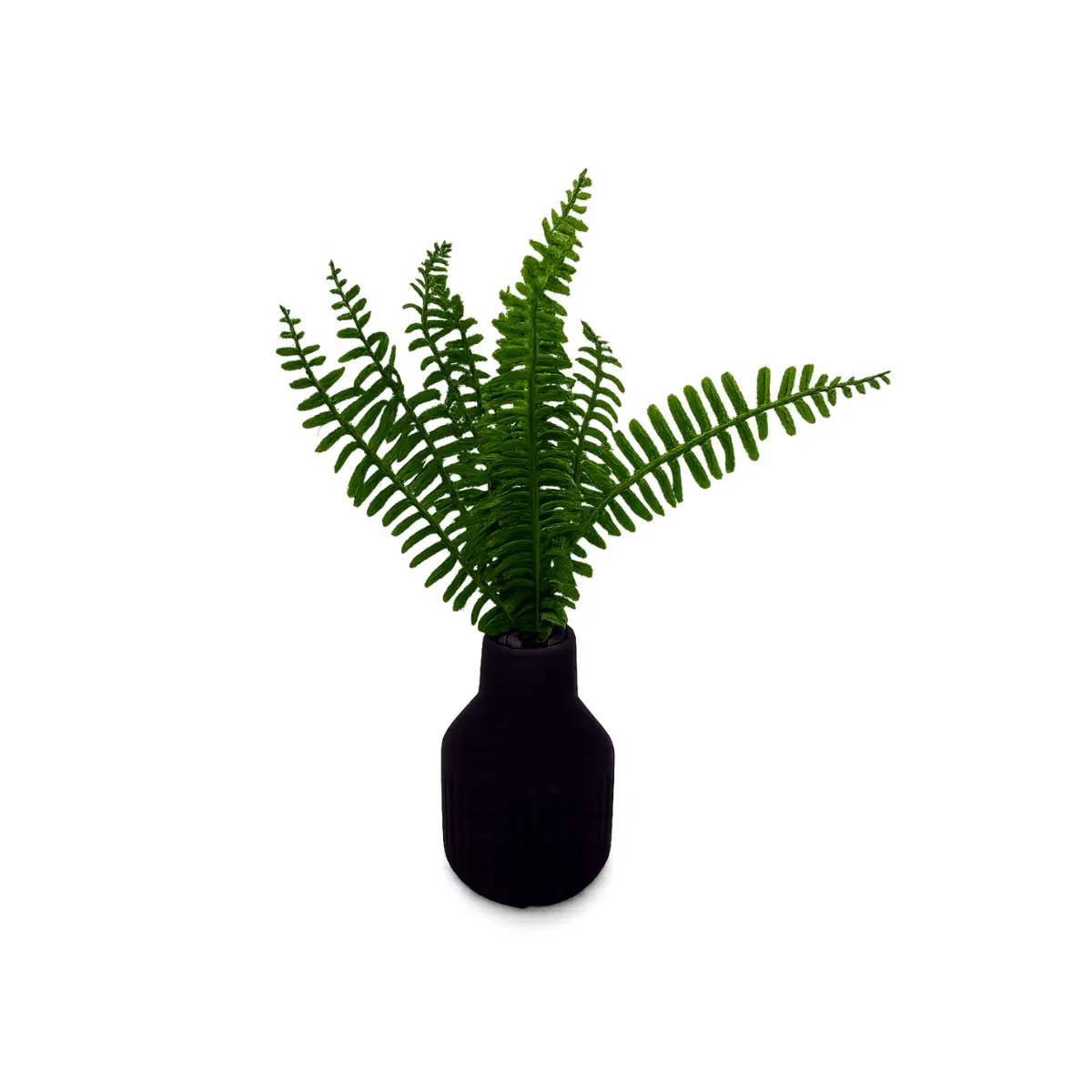 FERN IN MATTE BLACK VASE