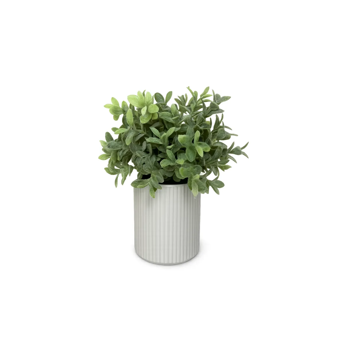 ARTIFICIAL PLANT IN RIBBED WHITE POT