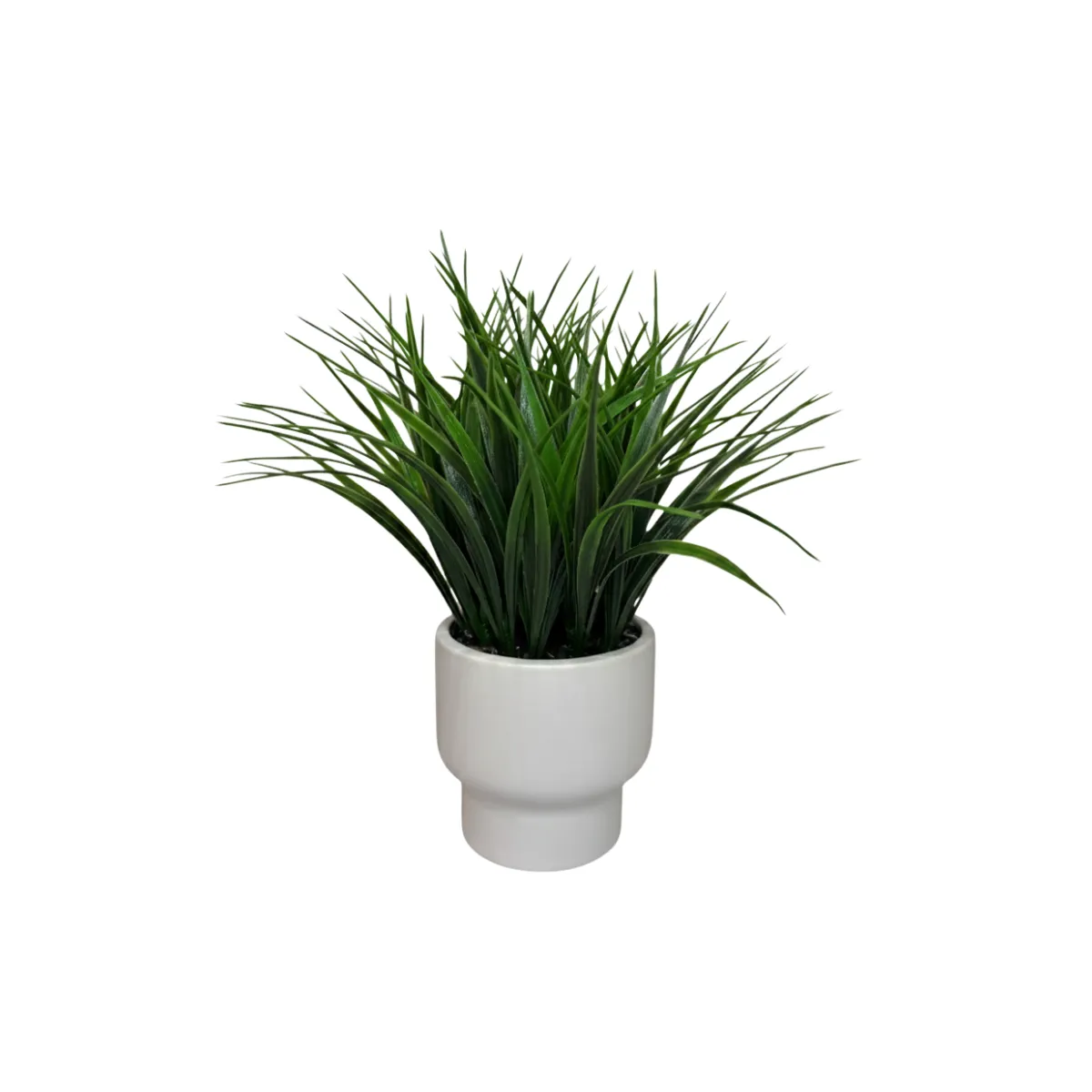 SPIKY GRASS PLANT IN WHITE POT