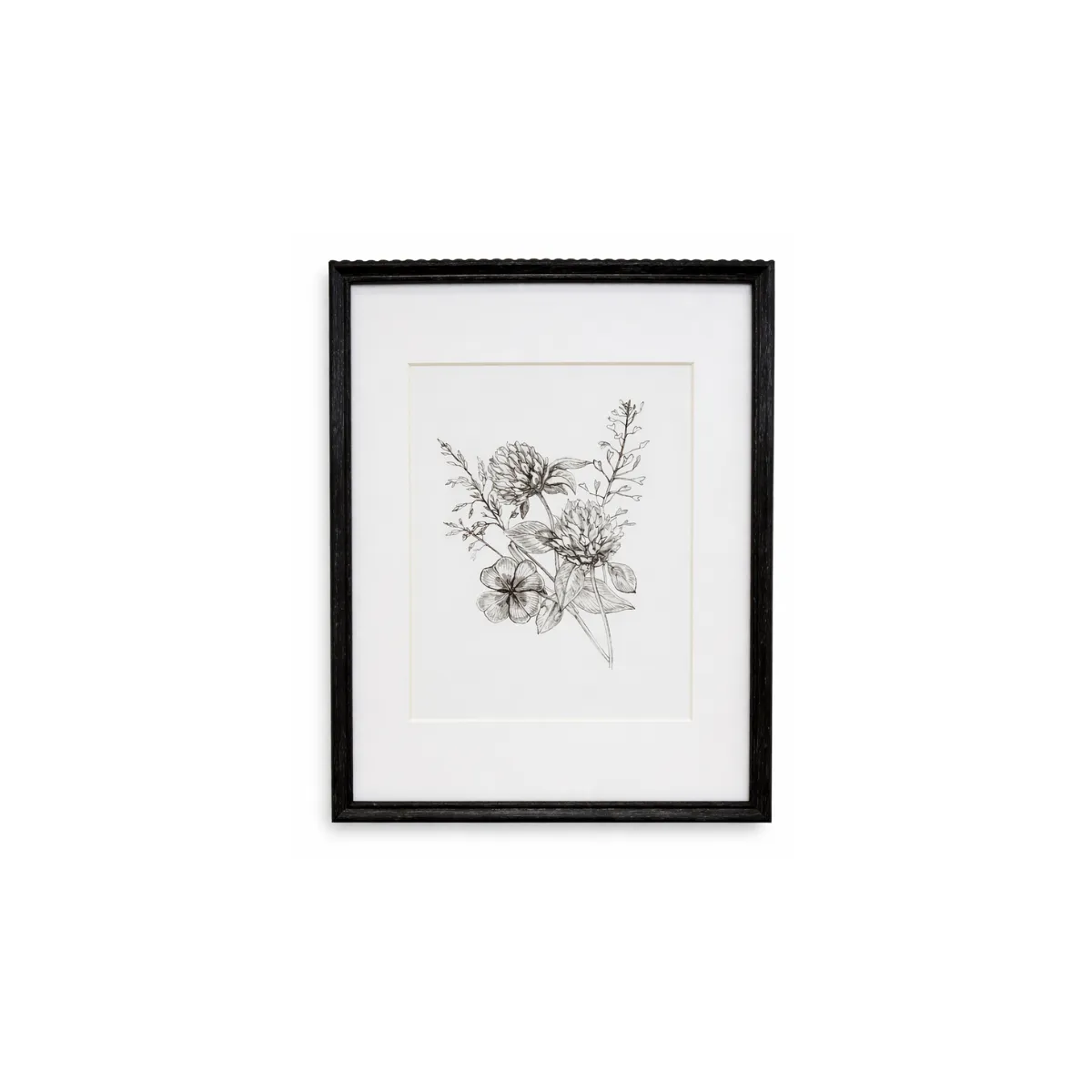 BOTANICAL INK DRAWING WALL ART