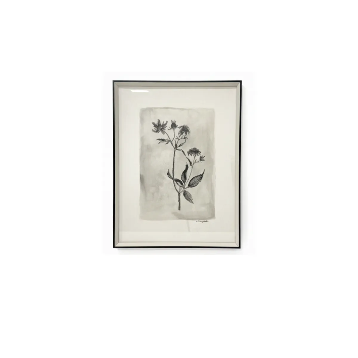 Modern Floral Display Frame