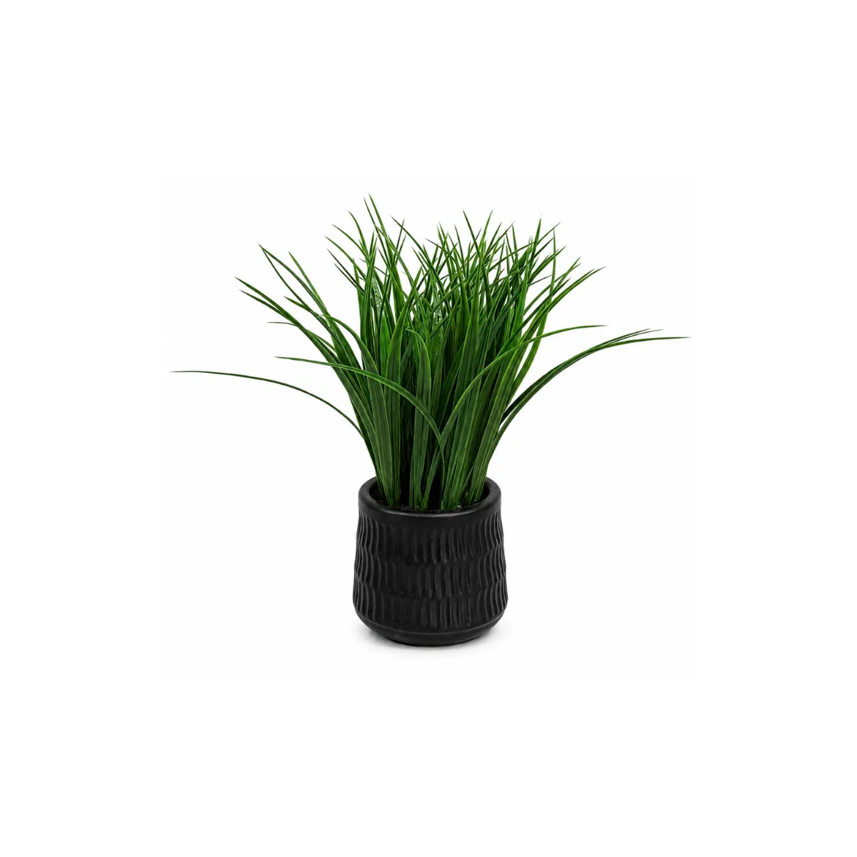 ORNAMENTAL GRASS IN TEXTURED POT