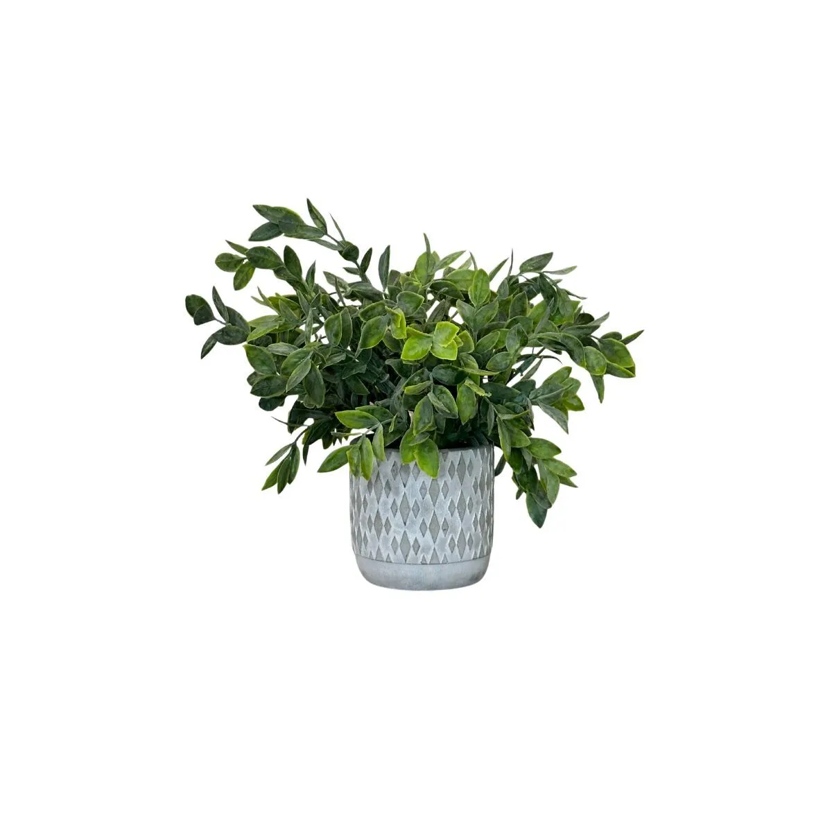 Designer Accent Greenery in Ceramic Pot