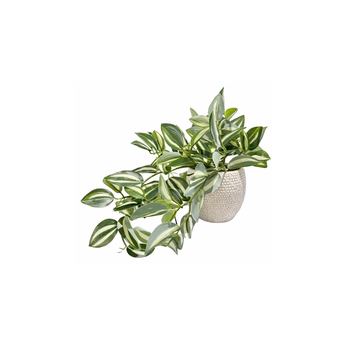 VARIEGATED GREENERY IN TEXTURED WHITE POT